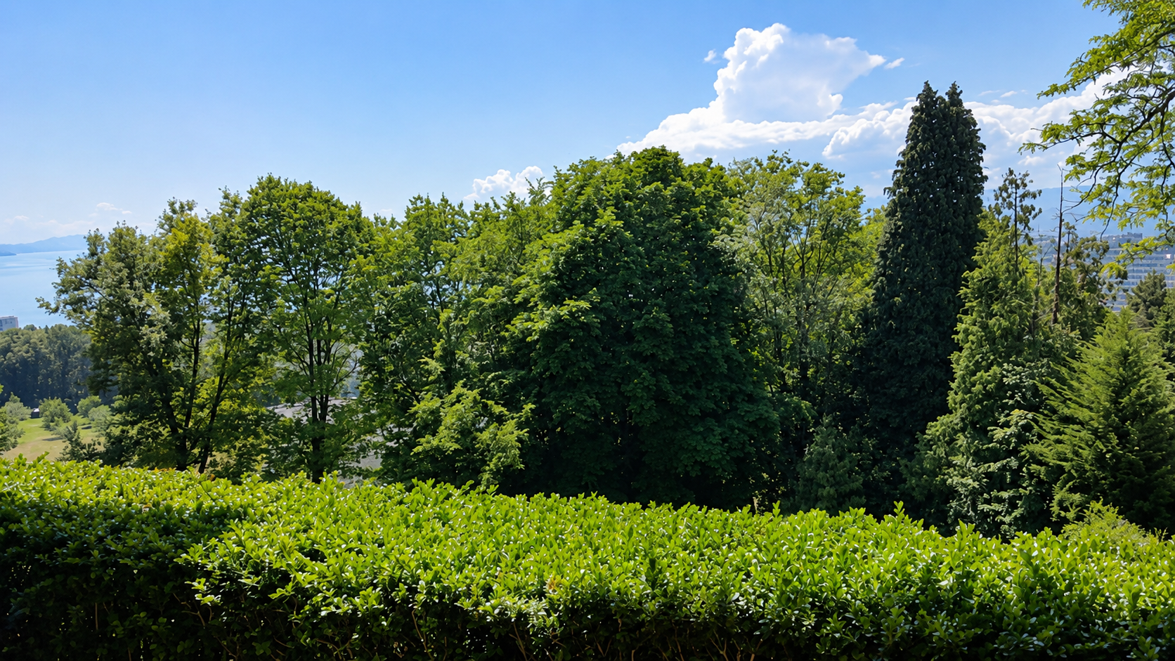 Vue sur le Léman depuis la terrasse